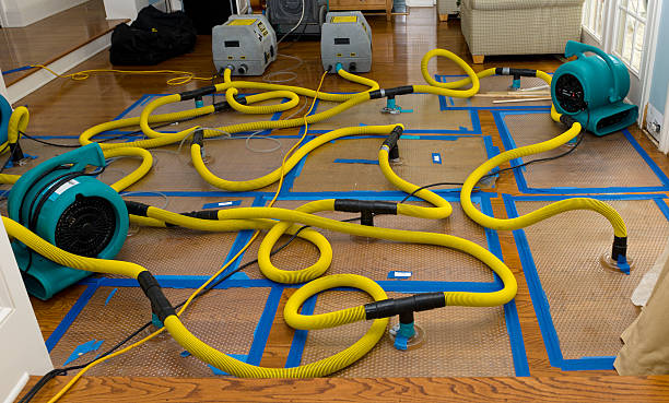 Professional Water Damage Repair technician working in Eddington, ME